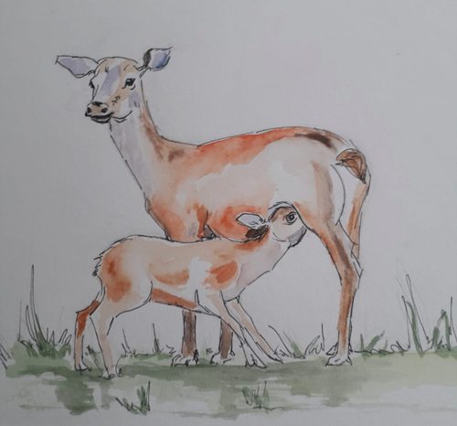 Janet G. Mother & Baby 2. watercolour.